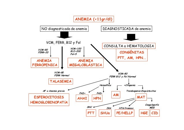 Anemias. Diagnóstico diferencial y tratamiento