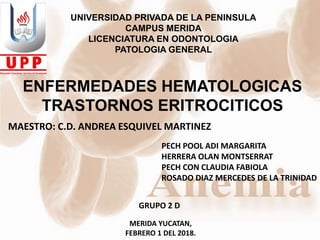 UNIVERSIDAD PRIVADA DE LA PENINSULA
CAMPUS MERIDA
LICENCIATURA EN ODONTOLOGIA
PATOLOGIA GENERAL
ENFERMEDADES HEMATOLOGICAS
TRASTORNOS ERITROCITICOS
MAESTRO: C.D. ANDREA ESQUIVEL MARTINEZ
PECH POOL ADI MARGARITA
HERRERA OLAN MONTSERRAT
PECH CON CLAUDIA FABIOLA
ROSADO DIAZ MERCEDES DE LA TRINIDAD
MERIDA YUCATAN,
FEBRERO 1 DEL 2018.
GRUPO 2 D
 