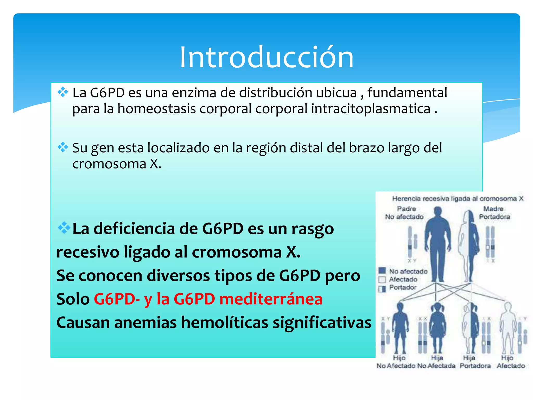 Deficiencia de glucosa 6 fosfato deshidrogenasa | PPTX