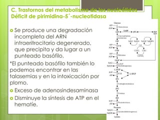 C. Trastornos del metabolismo de los nucleótidos
Déficit de pirimidina-5´-nucleotidasa
 Se produce una degradación
incompleta del ARN
intraeritrocitario degenerado,
que precipita y da lugar a un
punteado basófilo.
*El punteado basófilo también lo
podemos encontrar en las
talasemias y en la intoxicación por
plomo.
 Exceso de adenosindesaminasa
 Disminuye la síntesis de ATP en el
hematíe.
 