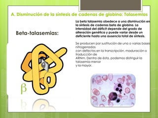 A. Disminución de la síntesis de cadenas de globina: Talasemias
Beta-talasemias:
La beta talasemia obedece a una disminución en
la síntesis de cadenas beta de globina. La
intensidad del déficit depende del grado de
alteración genética y puede variar desde un
deficiente hasta una ausencia total de síntesis.
Se producen por sustitución de una o varias bases
nitrogenadas
con defectos en la transcripción, maduración o
traducción de
ARNm. Dentro de ésta, podemos distinguir la
talasemia menor
y la mayor.
 