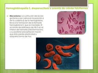 Hemoglobinopatía S, drepanocitosis o anemia de células falciformes
 Mecanismo: La sustitución del ácido
glutámico por valina en la posición 6
de la cadena β de la hemoglobina,
lleva a la formación de la llamada
hemoglobina S, que es inestable. El
acúmulo de polímeros de Hb S en el
interior del hematíe (falciformación)
y su posterior precipitación hacen
que éste pierda elasticidad y
adquiera forma de hoz.
 