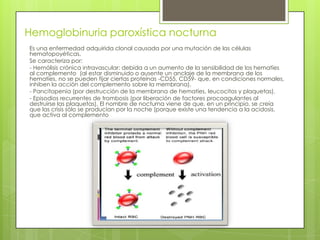 Hemoglobinuria paroxística nocturna
Es una enfermedad adquirida clonal causada por una mutación de las células
hematopoyéticas.
Se caracteriza por:
- Hemólisis crónica intravascular: debida a un aumento de la sensibilidad de los hematíes
al complemento (al estar disminuido o ausente un anclaje de la membrana de los
hematíes, no se pueden fijar ciertas proteínas -CD55, CD59- que, en condiciones normales,
inhiben la acción del complemento sobre la membrana).
- Pancitopenia (por destrucción de la membrana de hematíes, leucocitos y plaquetas).
- Episodios recurrentes de trombosis (por liberación de factores procoagulantes al
destruirse las plaquetas). El nombre de nocturna viene de que, en un principio, se creía
que las crisis sólo se producían por la noche (porque existe una tendencia a la acidosis,
que activa al complemento
 