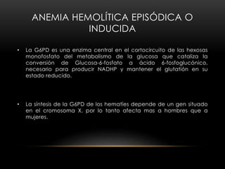 ANEMIA HEMOLÍTICA EPISÓDICA O
INDUCIDA
• La G6PD es una enzima central en el cortocircuito de las hexosas
monofosfato del metabolismo de la glucosa que cataliza la
conversión de Glucosa-6-fosfato a ácido 6-fosfoglucónico,
necesario para producir NADHP y mantener el glutatión en su
estado reducido.
• La síntesis de la G6PD de los hematíes depende de un gen situado
en el cromosoma X, por lo tanto afecta mas a hombres que a
mujeres.
 