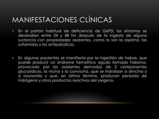 MANIFESTACIONES CLÍNICAS
• En el patrón habitual de deficiencia de G6PD, los síntomas se
desarrollan entre 24 y 48 hrs después de la ingesta de alguna
sustancia con propiedades oxidantes, como lo son la aspirina, las
sulfamidas y los antipalúdicos.
• En algunos pacientes se manifiesta por la ingestión de habas, que
puede producir un síndrome hemolítico agudo llamado Fabismo,
provocado por los oxidantes derivados de 2 componentes
glucosídicos, la vicina y la convicina, que se hidrolizan a divicina y
a isouramilo y que, en último término, producen peróxido de
hidrógeno y otros productos reactivos del oxígeno.
 