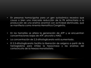 • En presonas homocigotas para un gen autosómico recesivo que
causa o bien una marcada reducción de la PK eritrocitaria o la
producción de una enzima anormal con actividad disminuida, que
se manifiesta como Anemia Hemolítica Congénita.
• En los hematíes se altera la generación de ATP y se encuentran
concentraciones bajas de ATP, piruvato y NAD.
• La concentración de 2,3-difosfoglicerato está aumentada.
• El 2,3-difosfoglicerato facilita la liberación de oxígeno a partir de la
hemoglobina pero inhibe la hexocinasa y las enzimas del
cortocircuito de la hexosa monofosfato.
 