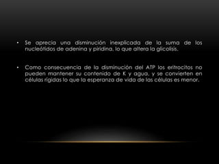 • Se aprecia una disminución inexplicada de la suma de los
nucleótidos de adenina y piridina, lo que altera la glicolisis.
• Como consecuencia de la disminución del ATP los eritrocitos no
pueden mantener su contenido de K y agua, y se convierten en
células rígidas lo que la esperanza de vida de las células es menor.
 