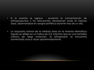 • Si la anemia se agrava , aumenta la concentración de
eritroproyectina y los reticulocitos abandonan antes la médula
ósea, observándose en sangre periférica durante mas de un día.
• La respuesta normal de la médula ósea en la Anemia Hemolítica
Aguda se refleja en un índice de 2-3; mientras que en una hemólisis
crónica de larga evolución, la eritropoyesis se encuentra
aumentada unas 6 veces aproximadamente.
 