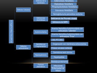 AnemiaHemolítica
Defectos Celulares
Defectos de la
membrana
Esferocitosis Hereditaria
Eliptositosis Hereditaria
Piropoiquilocitotosis Hereditaria
Estomatosis Hereditaria
Hemoglobunuria paroxística nocturna
Deficiencias
enzimáticas
Deficiencia de Piruvato cinasa
Deficiencia de G6PD
Defectos
extracelulares
Autoinmunitarios
Anemia Hemolítica Autoinmunitaria con
anticuerpos “calientes”
Anemía Hemolítica Autoinmunitaria con
anticuerpos “Fríos”
Hemólisis por
Fragmentación
CID, PTT, SHU
Oxigenación con membrana extracorpórea
Prótesis valvulares cardiacas
Quemaduras lesión térmica.
Hiperesplenismo
Factores
plasmáticos
Hepatopatías
Abetalipoproteinemia
Infecciones
Enfermedad de
Wilson
 
