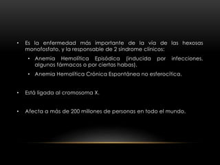 • Es la enfermedad más importante de la vía de las hexosas
monofosfato, y la responsable de 2 síndrome clínicos:
• Anemia Hemolítica Episódica (inducida por infecciones,
algunos fármacos o por ciertas habas).
• Anemia Hemolítica Crónica Espontánea no esferocítica.
• Está ligada al cromosoma X.
• Afecta a más de 200 millones de personas en todo el mundo.
 