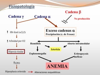Cadena g Cadena a
Cadena b
Hb fetal (a2g2)
No producción
Afinidad por O2
Hipoxia tisular
EPO
Hiperplasia eritroide
Exceso cadenas a
Precipitación (c. de Fessas)
Hemólisis Aborto intramedular
Ictericia
Esplenomegalia Eritropoyesis
ineficaz
ANEMIA
Alteraciones esqueléticas
Fisiopatología
 