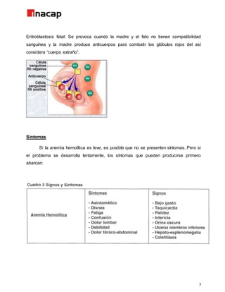 7
Eritroblastosis fetal: Se provoca cuando la madre y el feto no tienen compatibilidad
sanguínea y la madre produce anticuerpos para combatir los glóbulos rojos del así
considera “cuerpo extraño”.
Síntomas
Si la anemia hemolítica es leve, es posible que no se presenten síntomas. Pero si
el problema se desarrolla lentamente, los síntomas que pueden producirse primero
abarcan:
 