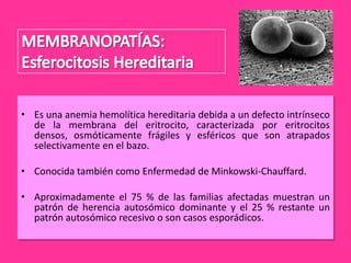 • Es una anemia hemolítica hereditaria debida a un defecto intrínseco
de la membrana del eritrocito, caracterizada por eritrocitos
densos, osmóticamente frágiles y esféricos que son atrapados
selectivamente en el bazo.
• Conocida también como Enfermedad de Minkowski-Chauffard.
• Aproximadamente el 75 % de las familias afectadas muestran un
patrón de herencia autosómico dominante y el 25 % restante un
patrón autosómico recesivo o son casos esporádicos.

 