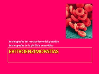 Enzimopatías del metabolismo del glutatión
Enzimopatías de la glicólisis anaeróbica

 
