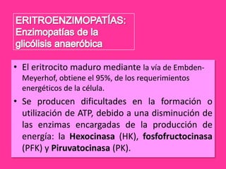 • El eritrocito maduro mediante la vía de EmbdenMeyerhof, obtiene el 95%, de los requerimientos
energéticos de la célula.

• Se producen dificultades en la formación o
utilización de ATP, debido a una disminución de
las enzimas encargadas de la producción de
energía: la Hexocinasa (HK), fosfofructocinasa
(PFK) y Piruvatocinasa (PK).

 