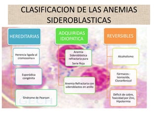 CLASIFICACION DE LAS ANEMIAS
             SIDEROBLASTICAS
                              ADQUIRIDAS
HEREDITARIAS                                              REVERSIBLES
                               IDIOPATICA

                                      Anemia
  Herencia ligada al               Sideroblástica                Alcoholismo
   cromosoma x                    refractaria pura
                                     Serie Roja


       Esporádica                                              Fármacos :
       congénita                                               Isoniazida,
                                                              Cloranfenicol
                                Anemia Refractaria con
                                sideroblastos en anillo

                                                             Déficit de cobre,
        Síndrome de Pearson                                 Toxicidad por Zinc,
                                                               Hipotermia
 
