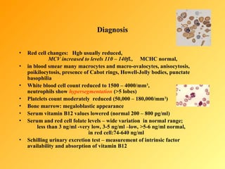 Normal Howell Comprehensive Overview of Pediatric Anemias: Diagnosis and Treatment | PPT