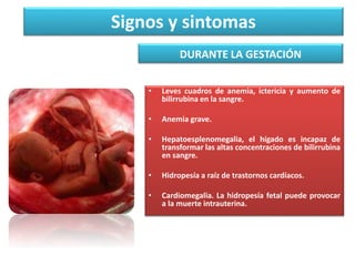Signos y sintomas 
DURANTE LA GESTACIÓN 
• Leves cuadros de anemia, ictericia y aumento de 
bilirrubina en la sangre. 
• Anemia grave. 
• Hepatoesplenomegalia, el hígado es incapaz de 
transformar las altas concentraciones de bilirrubina 
en sangre. 
• Hidropesía a raíz de trastornos cardíacos. 
• Cardiomegalia. La hidropesía fetal puede provocar 
a la muerte intrauterina. 
 
