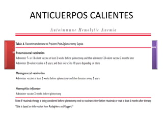 ANTICUERPOS CALIENTES 
Máxima reactividad 37C 
Clase IgG 
Destruidos por macrófagos 
esplénicos 
AHAI mas frecuente 60% 
Idiopáticos 50% 
Secundarios: Sx Linfoproliferativos 
Cuadros pocos sintomáticos, casos 
graves: 
Fiebre, palidez, ictericia, 
hepatoesplenomegalia e 
insuficiencia cardiaca 
Mas frecuente es que se instaure 
progresivamente a lo largo de 
meses y se manifiesta como 
síndrome anémico 
Anemia normocitica o macrocitica 
Reticulocitos > 
Policromasia y esferocitos 
Bilirrubina no conjufada y LDH > 
 