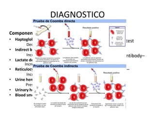 DIAGNOSTICO 
Componente hemolítico 
• Haptoglobin 
Decreased 
• Indirect bilirubin 
Increased 
• Lactate dehydrogenase 
Increased 
• Reticulocyte count 
Increased 
• Urine hemosiderin 
Present 
• Urinary hemoglobin 
• Blood smear 
Componente inmune 
• Direct antiglobulin test 
• Positive 
• IgG ± C3 in warm-antibody– 
mediated AIHA 
• C3 in cold-antibody– 
mediated AIHA 
 