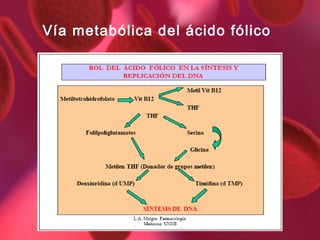 Vía metabólica del ácido fólico

 