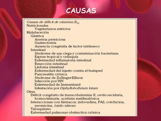 CAUSAS

 