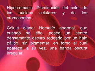 Hipocromasia: Disminución del color de
los núcleos celulares y de los
cromosomas.
Célula diana: Hematíe anormal, que
cuando se tiñe, posee un centro
densamente oscuro rodeado por un halo
pálido, sin pigmentar, en torno al cual
aparece, a su vez, una banda oscura
irregular.

 