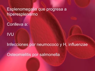 Esplenomegalia que progresa a
hiperesplenismo
Conlleva a:
IVU
Infecciones por neumococo y H, influenzae
Osteomielitis por salmonella

 