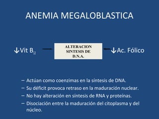 ANEMIA MEGALOBLASTICA
↓Vit B12 ↓Ac. Fólico
– Actúan como coenzimas en la síntesis de DNA.
– Su déficit provoca retraso en la maduración nuclear.
– No hay alteración en síntesis de RNA y proteínas.
– Disociación entre la maduración del citoplasma y del
núcleo.
ALTERACION
SINTESIS DE
D.N.A.
 