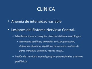 CLINICA
• Anemia de intensidad variable
• Lesiones del Sistema Nervioso Central.
– Manifestaciones a cualquier nivel del sistema neurológico
• Neuropatía periférica, anomalías en la propiocepcion,
disfunción vibratoria, siquiátrica, autonómica, motora, de
pares craneales, intestinal, vesical, sexual…
– Lesión de la médula espinal ganglios paraespinales y nervios
periféricos.
 
