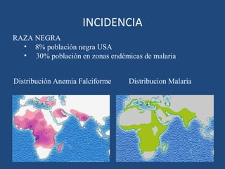 Distribución Anemia Falciforme Distribucion Malaria
INCIDENCIA
RAZA NEGRA
• 8% población negra USA
• 30% población en zonas endémicas de malaria
 