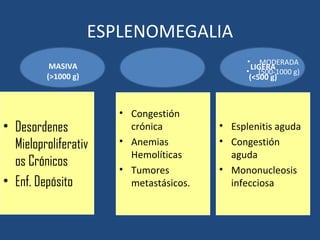 ESPLENOMEGALIA
MASIVA
(>1000 g)
• Congestión
crónica
• Anemias
Hemolíticas
• Tumores
metastásicos.
LIGERA
(<500 g)
• Esplenitis aguda
• Congestión
aguda
• Mononucleosis
infecciosa
• Desordenes
Mieloproliferativ
os Crónicos
• Enf. Depósito
• MODERADA
• (500-1000 g)
 