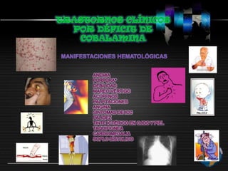 AUMENTO DE LA HEMATOPOYESIS