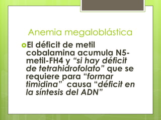 Anemia megaloblástica
El

déficit de metil
cobalamina acumula N5metil-FH4 y “si hay déficit
de tetrahidrofolato” que se
requiere para “formar
timidina” causa “déficit en
la síntesis del ADN”

 