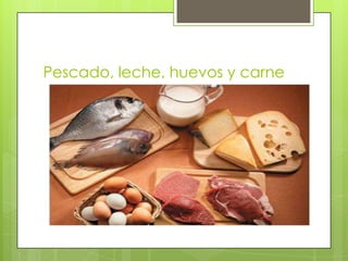 Pescado, leche, huevos y carne

 