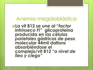 Anemia megaloblástica
La

vit B12 se une al “factor
intrínseco FI” glicoproteína
producida en las células
parietales gástricas de peso
molecular 44mil daltons
absorbiéndose el
complejo/vit B12 “a nivel de
Íleo y ciego”

 