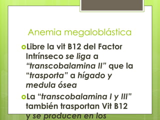 Anemia megaloblástica
Libre

la vit B12 del Factor
Intrínseco se liga a
“transcobalamina II” que la
“trasporta” a hígado y
medula ósea
La “transcobalamina I y III”
también trasportan Vit B12
y se producen en los

 