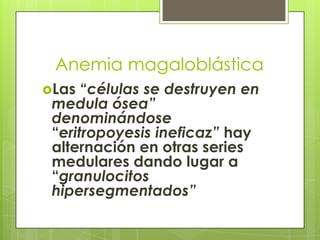 Anemia magaloblástica
Las

“células se destruyen en
medula ósea”
denominándose
“eritropoyesis ineficaz” hay
alternación en otras series
medulares dando lugar a
“granulocitos
hipersegmentados”

 