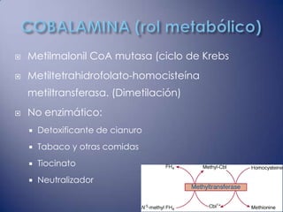    Metilmalonil CoA mutasa (ciclo de Krebs
   Metiltetrahidrofolato-homocisteína
    metiltransferasa. (Dimetilación)
   No enzimático:
       Detoxificante de cianuro
       Tabaco y otras comidas
       Tiocinato
       Neutralizador
 