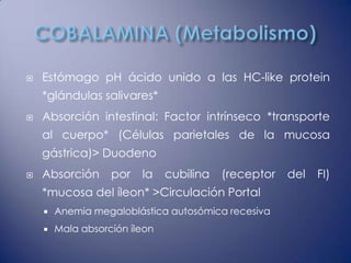    Estómago pH ácido unido a las HC-like protein
    *glándulas salivares*
   Absorción intestinal: Factor intrínseco *transporte
    al cuerpo* (Células parietales de la mucosa
    gástrica)> Duodeno
   Absorción      por   la    cubilina   (receptor   del   FI)
    *mucosa del íleon* >Circulación Portal
       Anemia megaloblástica autosómica recesiva
       Mala absorción íleon
 
