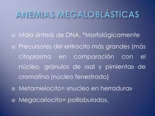    Mala síntesis de DNA. *Morfológicamente
   Precursores del eritrocito más grandes (más
    citoplasma   en   comparación     con     el
    núcleo, gránulos de «sal y pimienta» de
    cromatina (núcleo fenestrado)
   Metamielocito= «nucleo en herradura»
   Megacariocito= polilobulados.
 