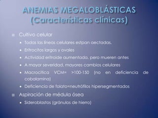    Cultivo celular
       Todas las líneas celulares estpan aectadas.
       Eritrocitos largos y ovales
       Actividad eritroide aumentada, pero mueren antes
       A mayor severidad, mayores cambios celulares
       Macrocitica    VCM=      >100-150    (no   en   deficiencia   de
        cobalamina)
       Deficiencia de folato=neutrófilos hipersegmentados

   Aspiración de médula ósea
       Sideroblastos (gránulos de hierro)
 