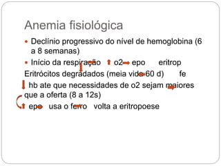 Anemia fisiológica
 Declínio progressivo do nível de hemoglobina (6
a 8 semanas)
 Início da respiração o2 epo eritrop
Eritrócitos degradados (meia vida 60 d) fe
hb ate que necessidades de o2 sejam maiores
que a oferta (8 a 12s)
epo usa o ferro volta a eritropoese
 