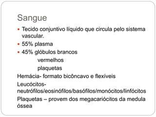 Sangue
 Tecido conjuntivo líquido que circula pelo sistema
vascular.
 55% plasma
 45% glóbulos brancos
vermelhos
plaquetas
Hemácia- formato bicôncavo e flexíveis
Leucócitos-
neutrófilos/eosinófilos/basófilos/monócitos/linfócitos
Plaquetas – provem dos megacariócitos da medula
óssea
 