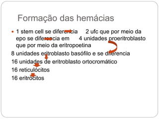 Formação das hemácias
 1 stem cell se diferencia 2 ufc que por meio da
epo se diferencia em 4 unidades proeritroblasto
que por meio da eritropoetina
8 unidades eritroblasto basófilo e se diferencia
16 unidades de eritroblasto ortocromático
16 reticulócitos
16 eritrócitos
 