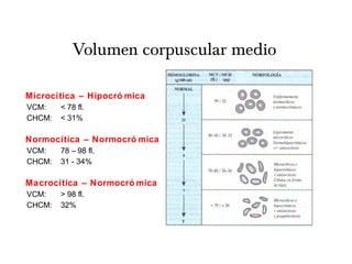 Volumen corpuscular medio
Microcítica – Hipocró mica
VCM: < 78 fl.
CHCM: < 31%
Normocítica – Normocró mica
VCM: 78 – 98 fl.
CHCM: 31 - 34%
Macrocítica – Normocró mica
VCM: > 98 fl.
CHCM: 32%
 