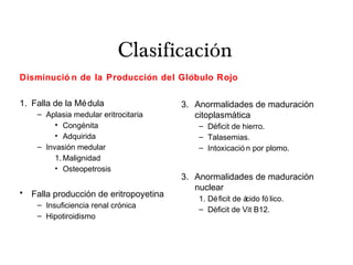 Clasificación
Disminució n de la Produccion del Globulo Rojó ́
1. Falla de la Médula
– Aplasia medular eritrocitaria
• Congenitá
• Adquirida
– Invasion medulaŕ
1. Malignidad
• Osteopetrosis
• Falla produccion de eritropoyetiná
– Insuficiencia renal cronicá
– Hipotiroidismo
3. Anormalidades de maduracioń
citoplasmaticá
– Deficit de hierro.́
– Talasemias.
– Intoxicació n por plomo.
3. Anormalidades de maduracioń
nuclear
1. Déficit de ácido fó lico.
– Deficit de Vit B12.́
 