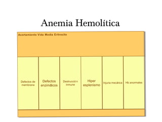 Anemia Hemolítica
Acortamiento Vida Media Eritrocito
Defectos de
membrana
Defectos
enzimáticos
Destrucció n
inmune
Hiper
esplenismo
Injuria mecánica Hb anormales
 