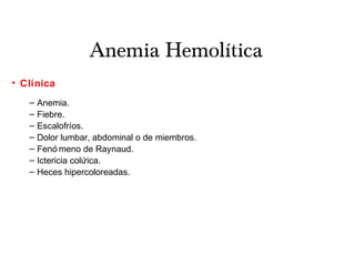 Anemia Hemolítica
• Clínica
– Anemia.
– Fiebre.
– Escalofríos.
– Dolor lumbar, abdominal o de miembros.
– Fenó meno de Raynaud.
– Ictericia colúrica.
– Heces hipercoloreadas.
 