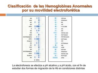 Clasificación de las Hemoglobinas Anormales
por su movilidad electroforética
La electroforesis se efectúa a pH alcalino y a pH ácido, con el fin de
estudiar dos formas de migración de la Hb en condiciones distintas
 